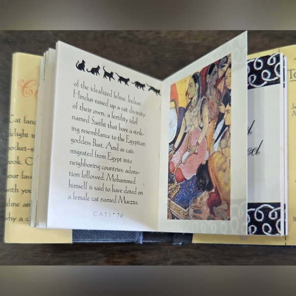 vintage and ultra rare TINY TOMES "Cats" by Frank Snepp - Picture 4 of 5